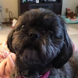 Meet your Posher, Sharon